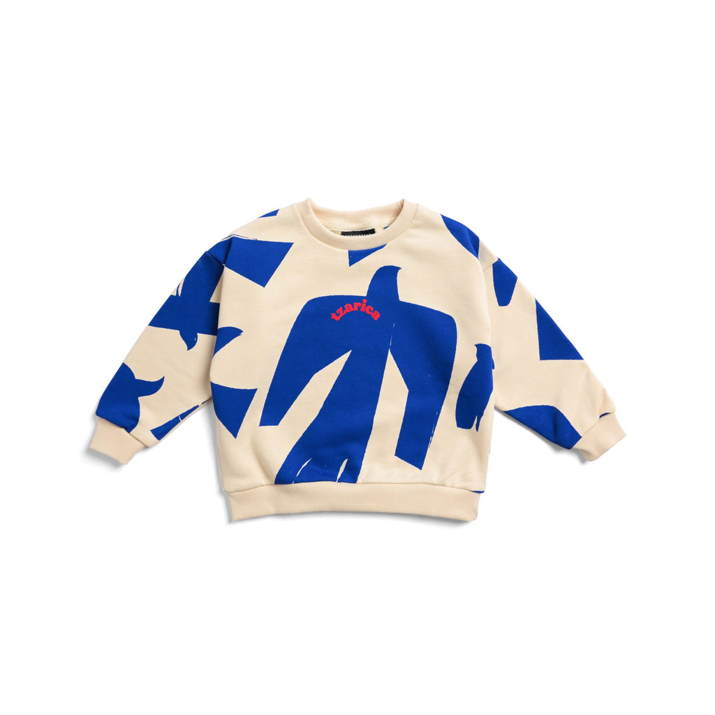 Ptice, kids sweatshirt