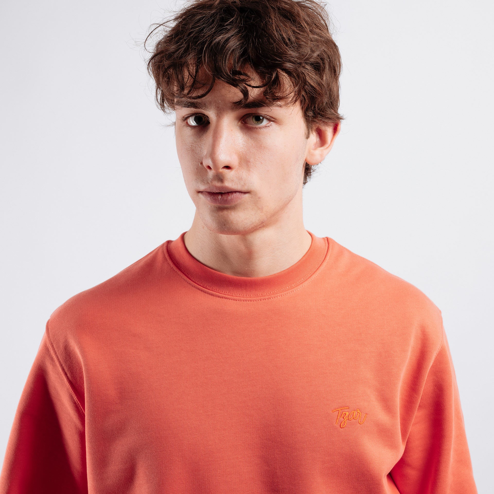 Script fiesta, men's sweatshirt